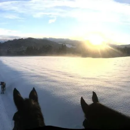 Little Farm Feldkirchen in Kärnten
