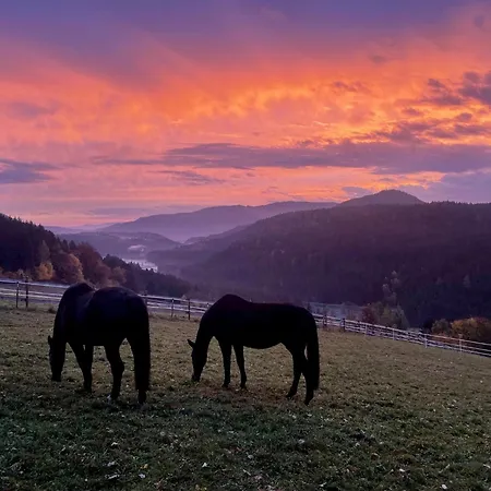 Little Farm Feldkirchen in Kärnten