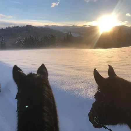 Apartment Little Farm *