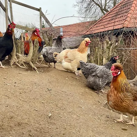 Apartment Little Farm Feldkirchen in Kärnten