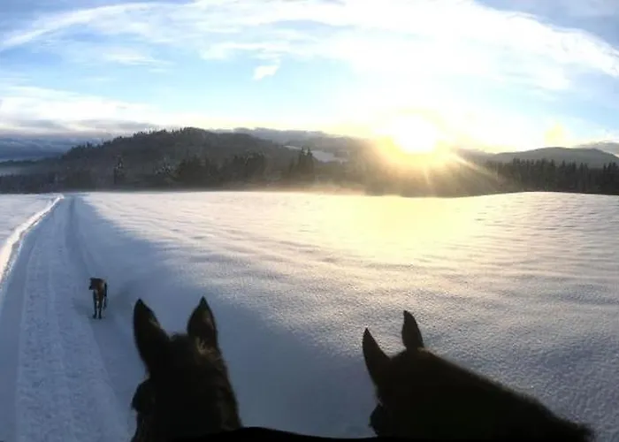 Little Farm פלדקירשן אין קרנטן