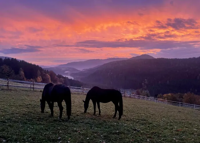 Little Farm פלדקירשן אין קרנטן