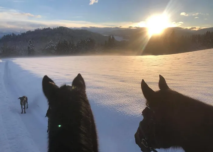 דירה Little Farm *