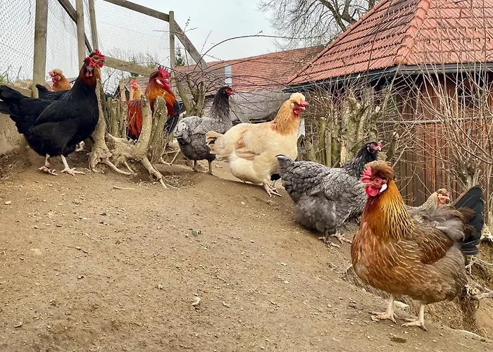 דירה Little Farm פלדקירשן אין קרנטן